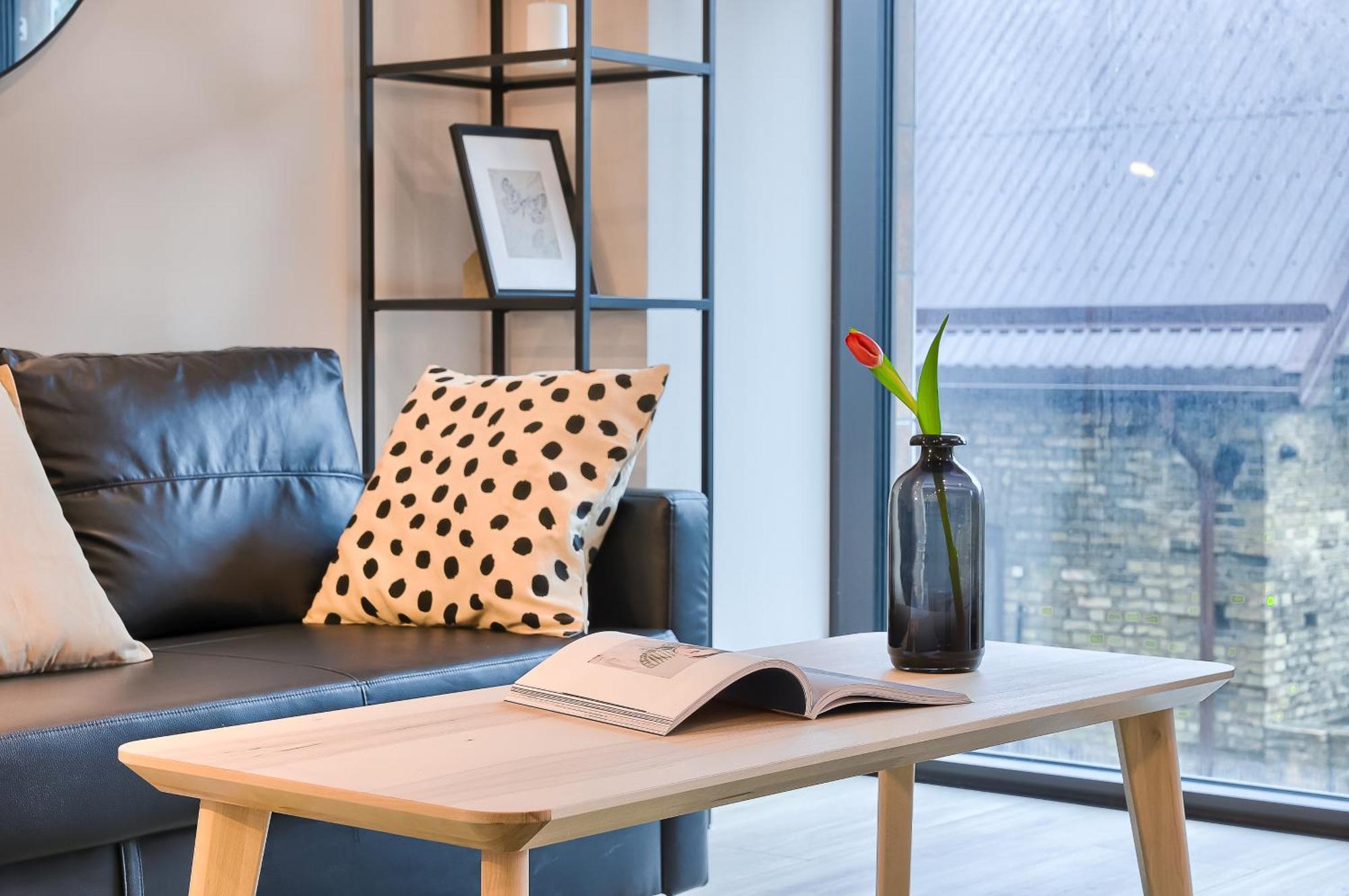 Business-Class Apartments 2 X Free Parking X Self Check In 24X7 Βίλνιους Εξωτερικό φωτογραφία